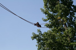 IMG_5623.JPG