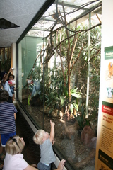 IMG_5631.JPG