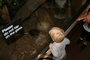IMG_5633.JPG