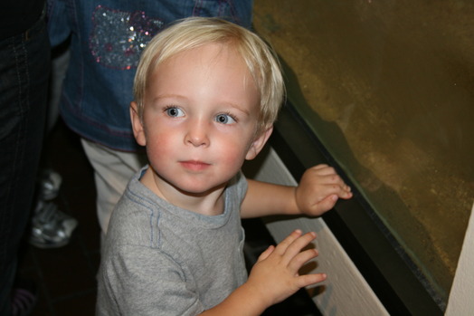 IMG_5634.JPG