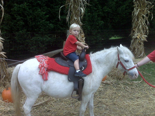 IMG00070.jpg