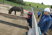 IMG_5717.jpg